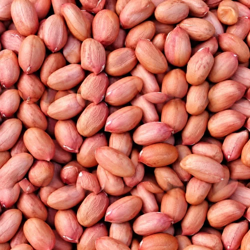 Indian Groundnut (Peanut)