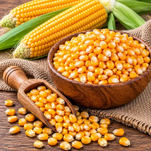 Maize / Corn
